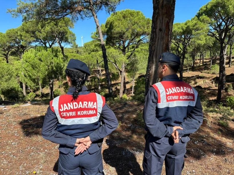 Bu çiçeği koparmak bir servete mal oluyor! Cezası tam 557 bin lira - Resim: 1