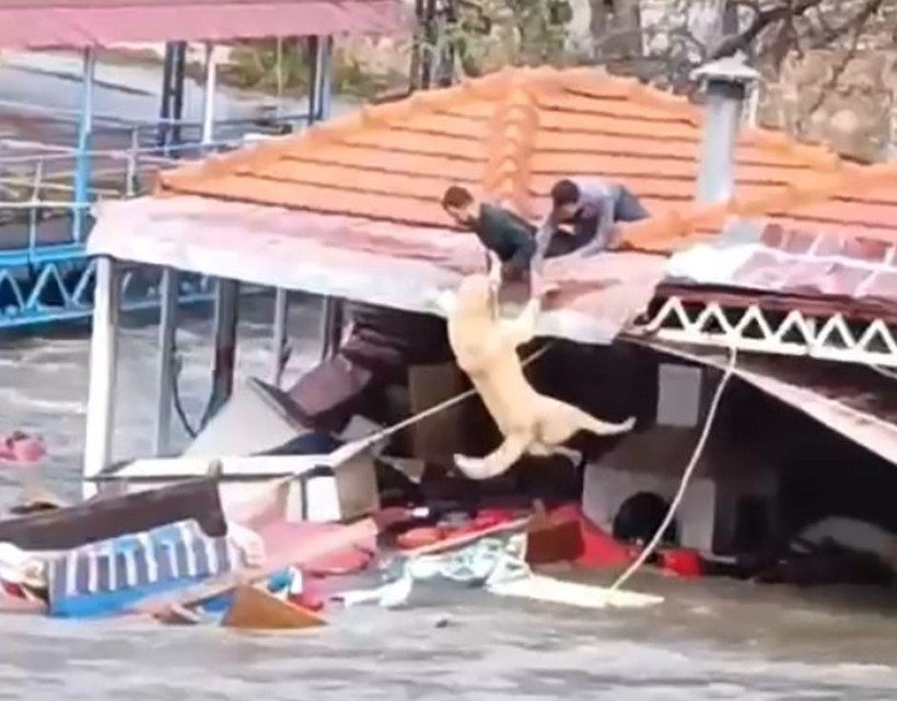 Alanya'da selin bilançosu ağır: Çaylar taştı, işletmeler sürüklendi - Resim: 5