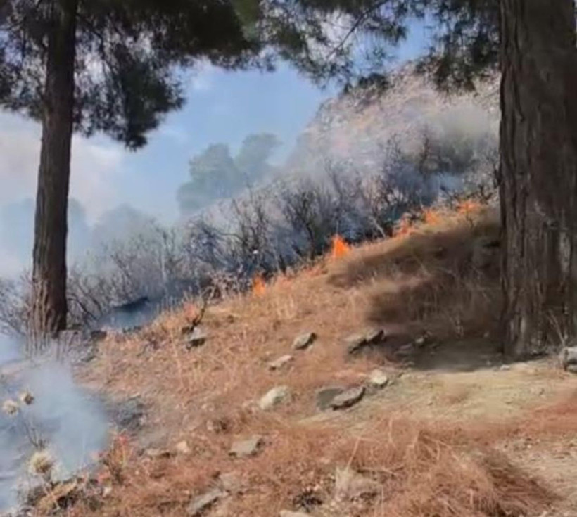 Siirt'te peş peşe yangınlar! 3 orman ve 2 arazi yangınına müdahale edildi - Resim: 5