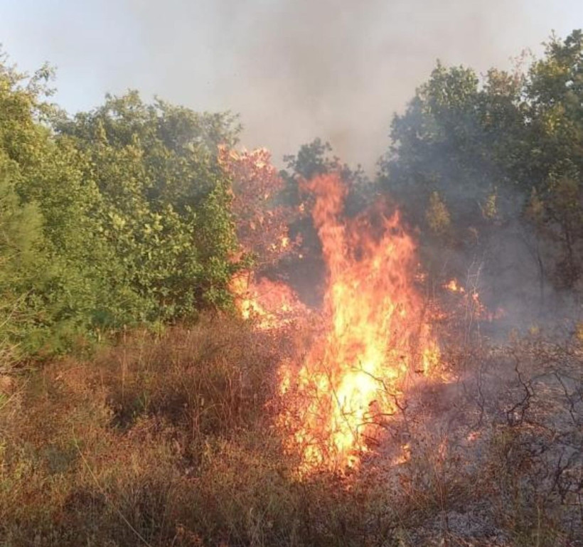 Kocaeli'de yangın: Trafo patladı, ormanlık alan kül oldu... - Resim: 6