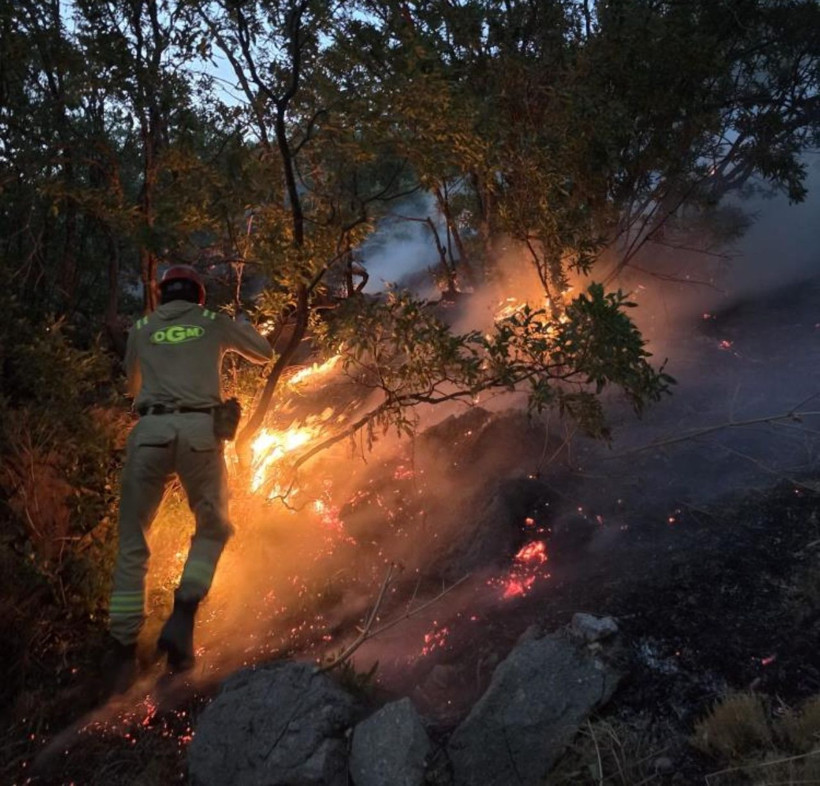 Siirt'te peş peşe yangınlar! 3 orman ve 2 arazi yangınına müdahale edildi - Resim: 4