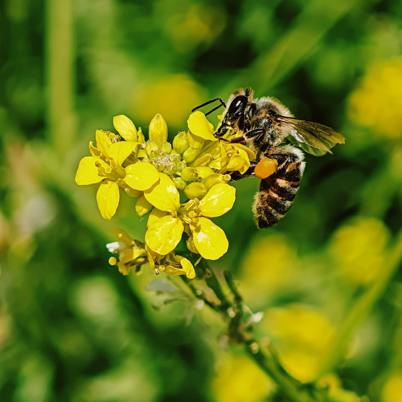 Xiaomi ve Mehmet Turgut’tan Doğayla Sanatın Kesiştiği Bir Yolculuk: “Zirve” - Resim: 3