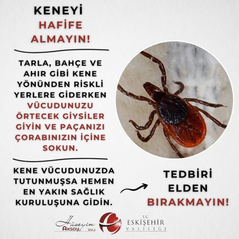 Eskişehir'de kene alarmı! Valilikten hayati uyarı: “Keneyi hafife almayın” - Resim : 1